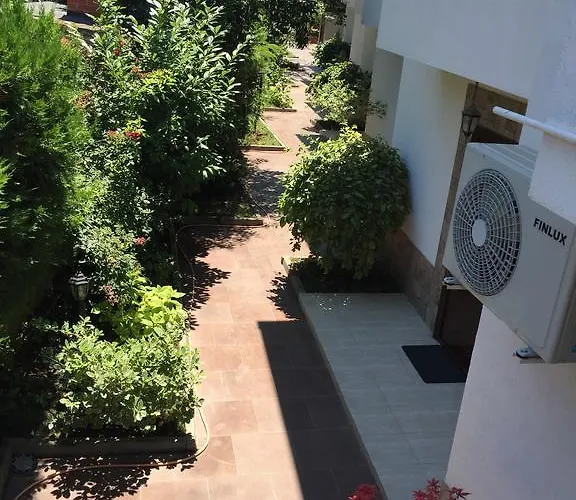 The White Complex Case de vacanță *